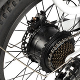 PHILODO Traveller elektrische fiets voor het hele gezin en met bagage.
