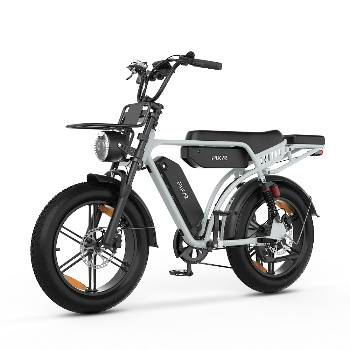PIXAR® M9 Retro Elektrische Fiets 2× 48 V17.5Ah