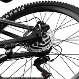 DUOTTS E29 elektrische fiets, 250W motor, 48V 13,5Ah accu, 70 cm