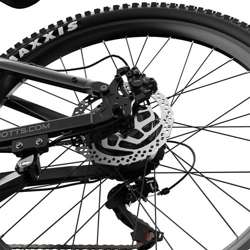 DUOTTS E29 elektrische fiets, 250W motor, 48V 13,5Ah accu, 70 cm
