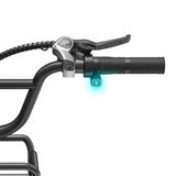 ENGWE L20 Boost
 250W 126 km Power-boost Koppelsensor Step-Thru elektrische fiets