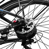 DUOTTS C29 Max elektrische fiets, 250W motor, 48V 18Ah