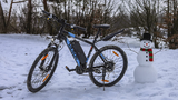 VARUN M27-1 Elektrische Fiets 250W