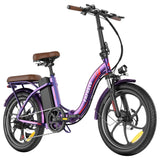 Fafrees F20+ Pro opvouwbare elektrische fiets 22,5Ah