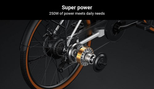 DYU C6 Pro elektrische fiets, 250W motor, 36V 15.6Ah