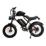 JKING FXH-002 elektrische fiets 48V 15.6AH 500W