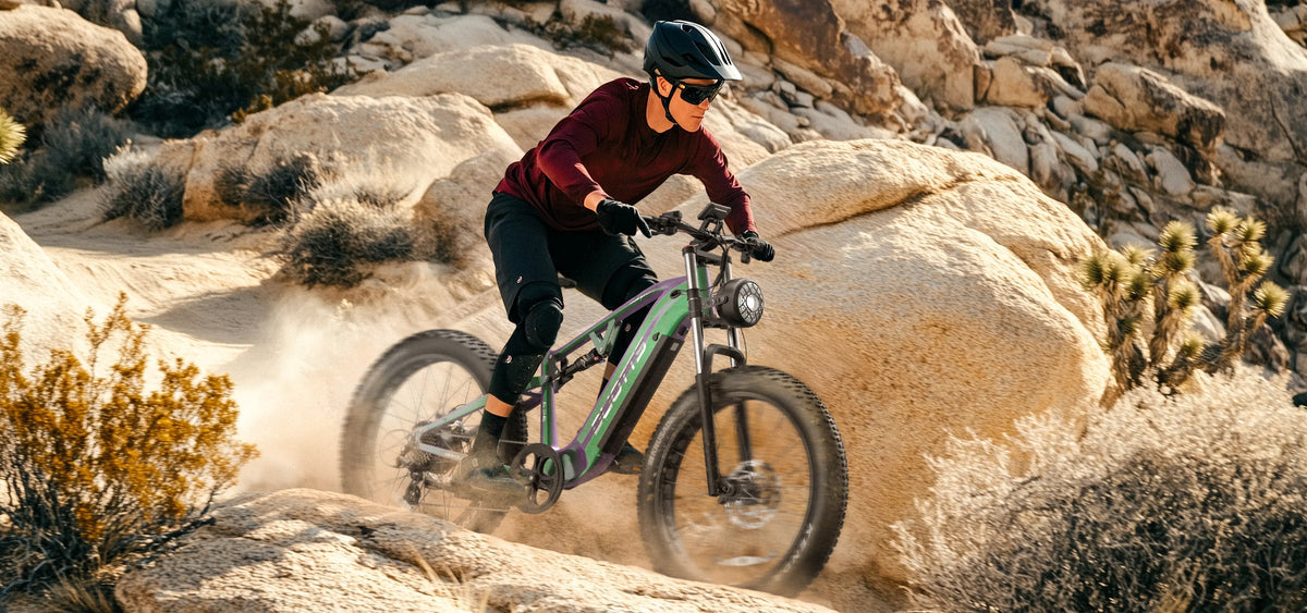 DUOTTS E26 elektrische fiets