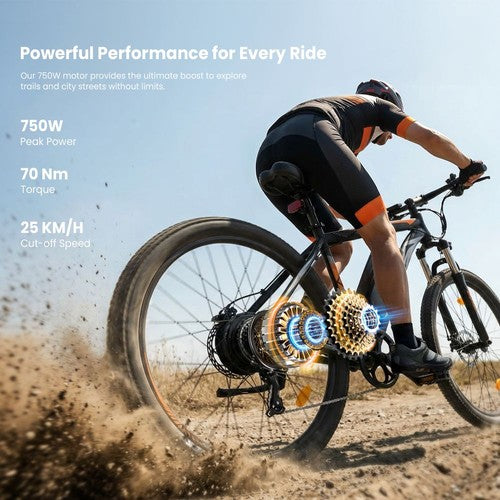 Touroll U2 Pro elektrische fiets, 750W piekmotor, 48V 15Ah
