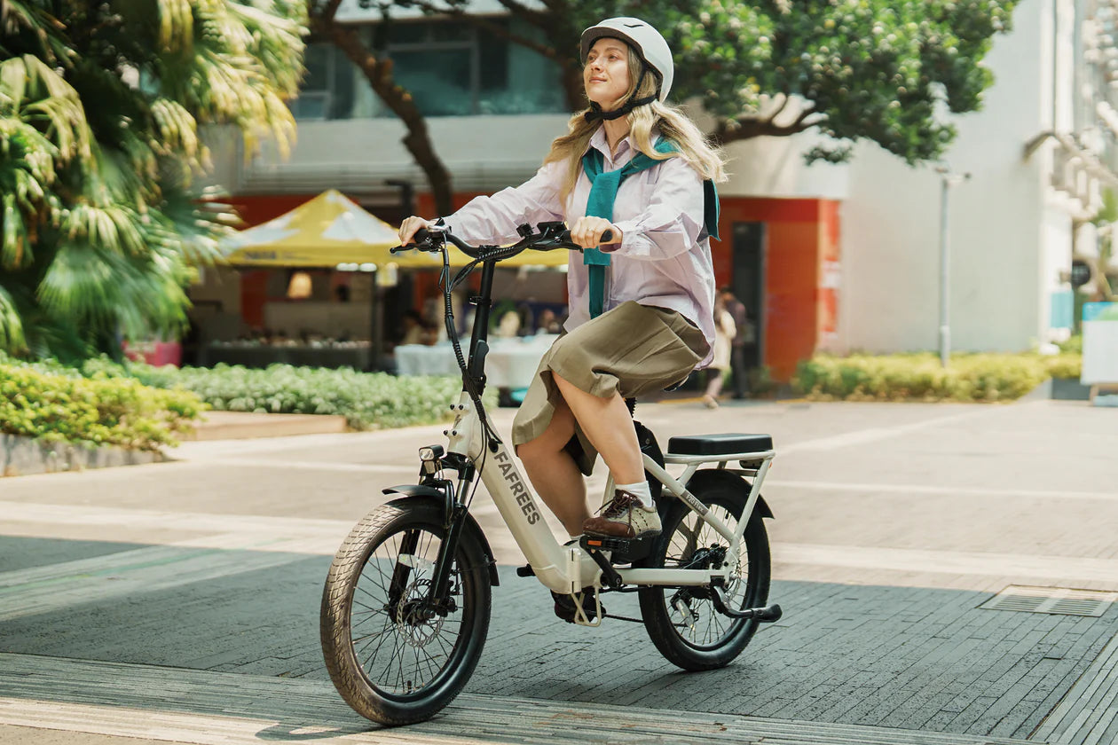 Fafrees F20 Flex elektrische fiets 36V 25Ah
