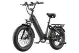 FAFREES F20 Rover elektrische fiets 250W