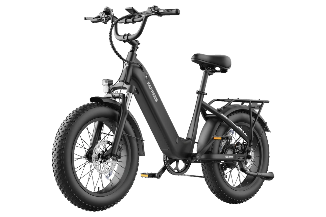 FAFREES F20 Rover elektrische fiets 250W
