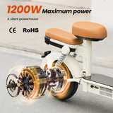 iScooter Y16 Elektrische Scooter 1200W