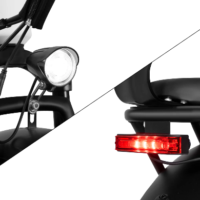 Rattan LF Pro elektrische fiets 250W