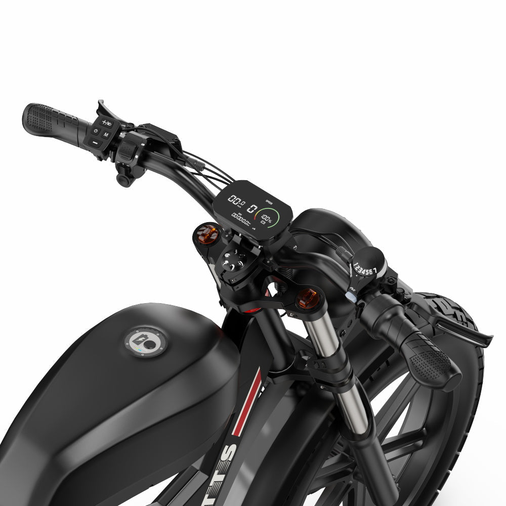DUOTTS F20 elektrische fiets 27Ah 750W
