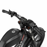 DUOTTS F20 elektrische fiets 27Ah 750W