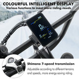 Hidoes B9 elektrische fiets, 750W motor, 48V 18.2Ah+15.6Ah dubbele accu