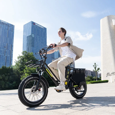 KOOLUX X8 FAT TYRE CARGO Elektrische fiets 64Ah