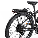 DUOTTS C29L Elektrische Fiets