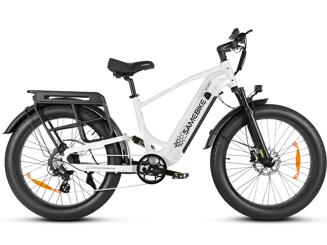SAMEBIKE STORM 1000W Elektrische Mountainbike met Dikke Banden