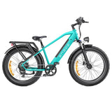ENGWE E26 16AH elektrische fiets 45 km/u