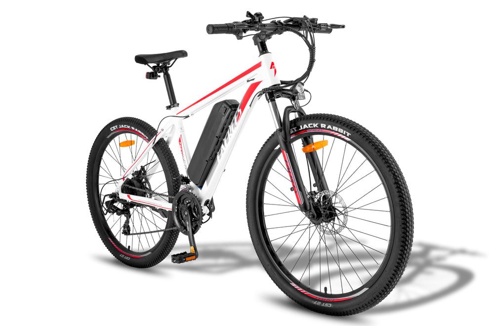 FAFREES F28 MT elektrische fiets 