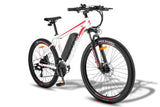 FAFREES F28 MT elektrische fiets 