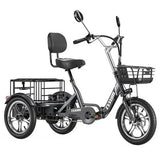Cysum T1 Pro elektrische driewieler, 250W motor, 48V 22Ah