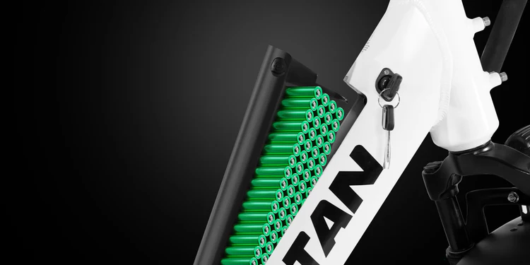 Rattan LF Pro elektrische fiets 250W