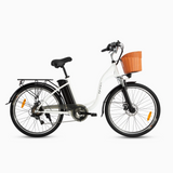 DYU C6 26 inch stedelijke elektrische fiets