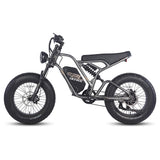 Fafrees F20 ULTRA 25Ah elektrische fiets