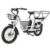 PHILODO Traveller elektrische fiets voor het hele gezin en met bagage.
