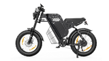 VARUN X-PLORER RAPTOR elektrische fiets 48V 20.8A