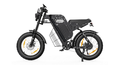 VARUN X-PLORER RAPTOR elektrische fiets 48V 20.8A