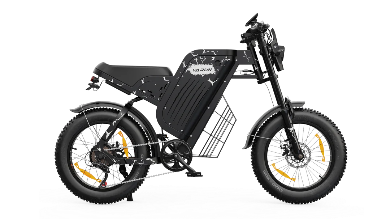 VARUN X-PLORER RAPTOR elektrische fiets 48V 20.8A