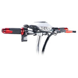 TWOFISH TF03 elektrische scooter met afneembaar zadel, 350W motor, 48V 15Ah