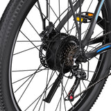 DUOTTS C29L Elektrische Fiets