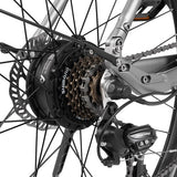DYU Stroll 1 elektrische fiets 250W