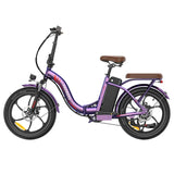 Fafrees F20+ Pro opvouwbare elektrische fiets 22,5Ah