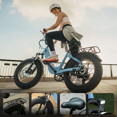 FAFREES F20 Rover elektrische fiets 250W
