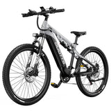 DUOTTS E29 elektrische fiets, 250W motor, 48V 13,5Ah accu, 70 cm