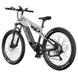 DUOTTS E29 elektrische fiets, 250W motor, 48V 13,5Ah accu, 70 cm