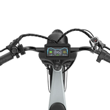 PIXAR® M9 Retro Elektrische Fiets 2× 48 V17.5Ah