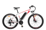 FAFREES F28 MT elektrische fiets 