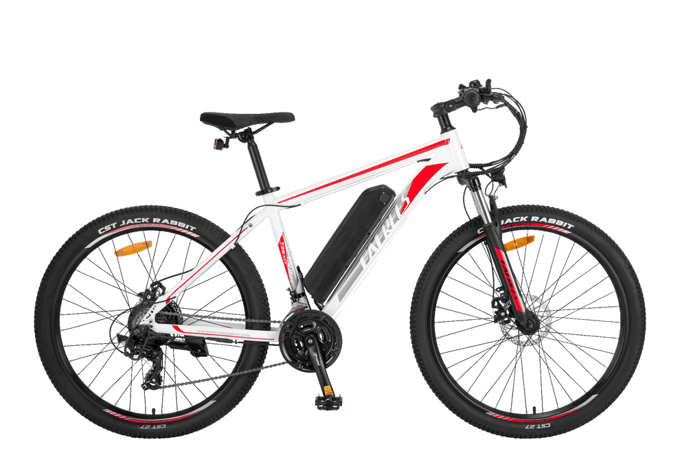 FAFREES F28 MT elektrische fiets 