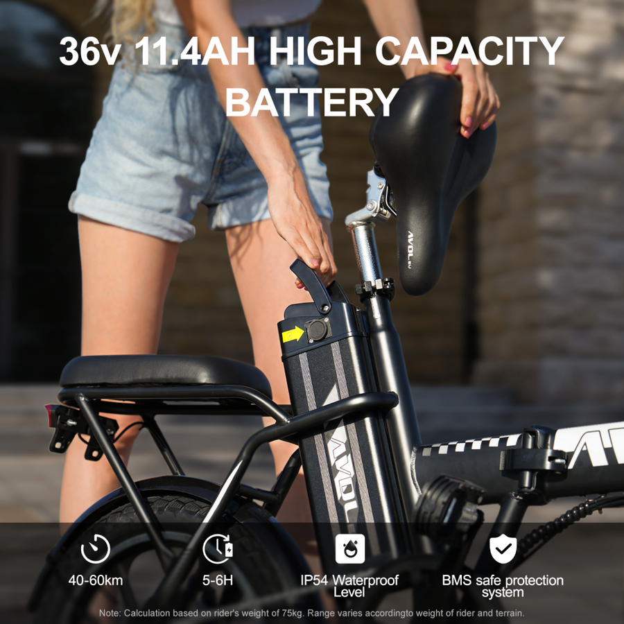 AVDL A10 elektrische fiets 250W