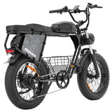 Hidoes B9 elektrische fiets, 750W motor, 48V 18.2Ah+15.6Ah dubbele accu