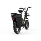 KOOLUX X8 FAT TYRE CARGO Elektrische fiets 64Ah