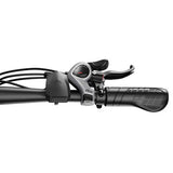 DUOTTS C29 Max elektrische fiets, 250W motor, 48V 18Ah
