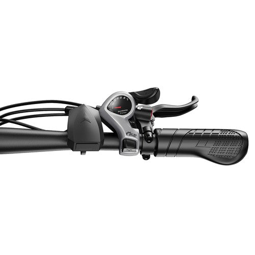 DUOTTS C29 Max elektrische fiets, 250W motor, 48V 18Ah