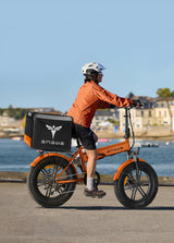 Engwe EP-2 Boost elektrische fiets